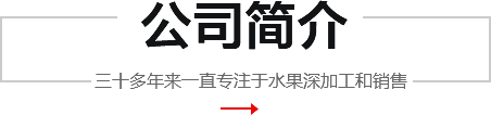 公司简介